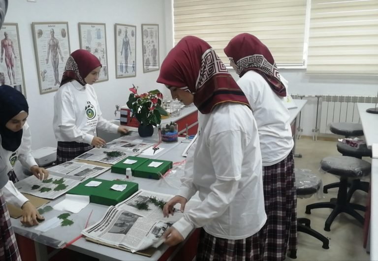 SHMI “MEDRESEJA ISA BEU”- PARALELJA E VAJZAVE GOSTIVAR, AKTIVITET ME RASTIN E DITËS BOTËRORE TË SHKENCËS